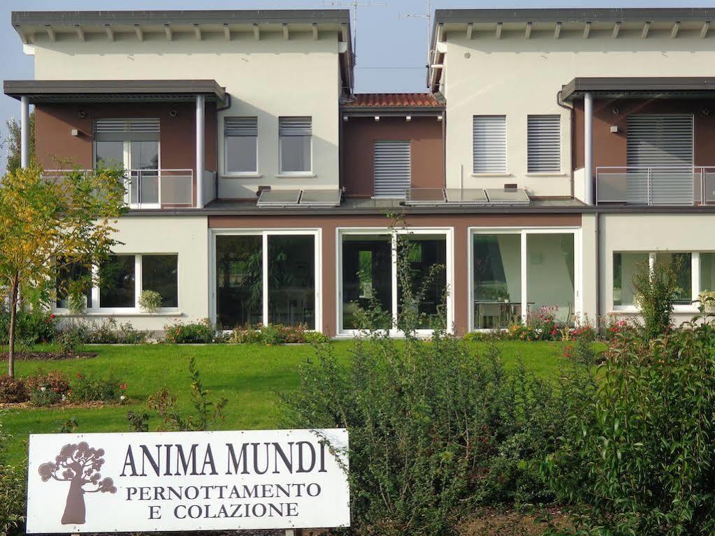 Anima Mundi Bed & Breakfast Curtatone Eksteriør bilde